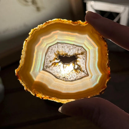 Rainbow Iris Agate | Iris Agate Slice