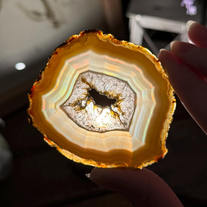 Rainbow Iris Agate | Iris Agate Slice