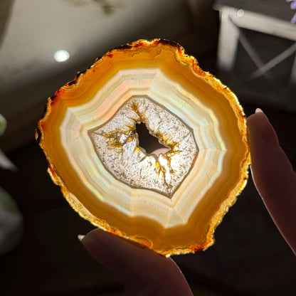 Rainbow Iris Agate | Iris Agate Slice