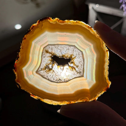 Rainbow Iris Agate | Iris Agate Slice