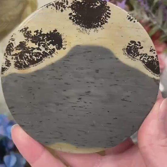 Picture Jasper Slab | Dendritic Jasper