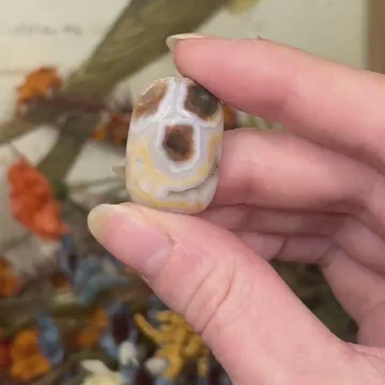 Old Stock Ocean Jasper Cab | Ocean Jasper Cabochon