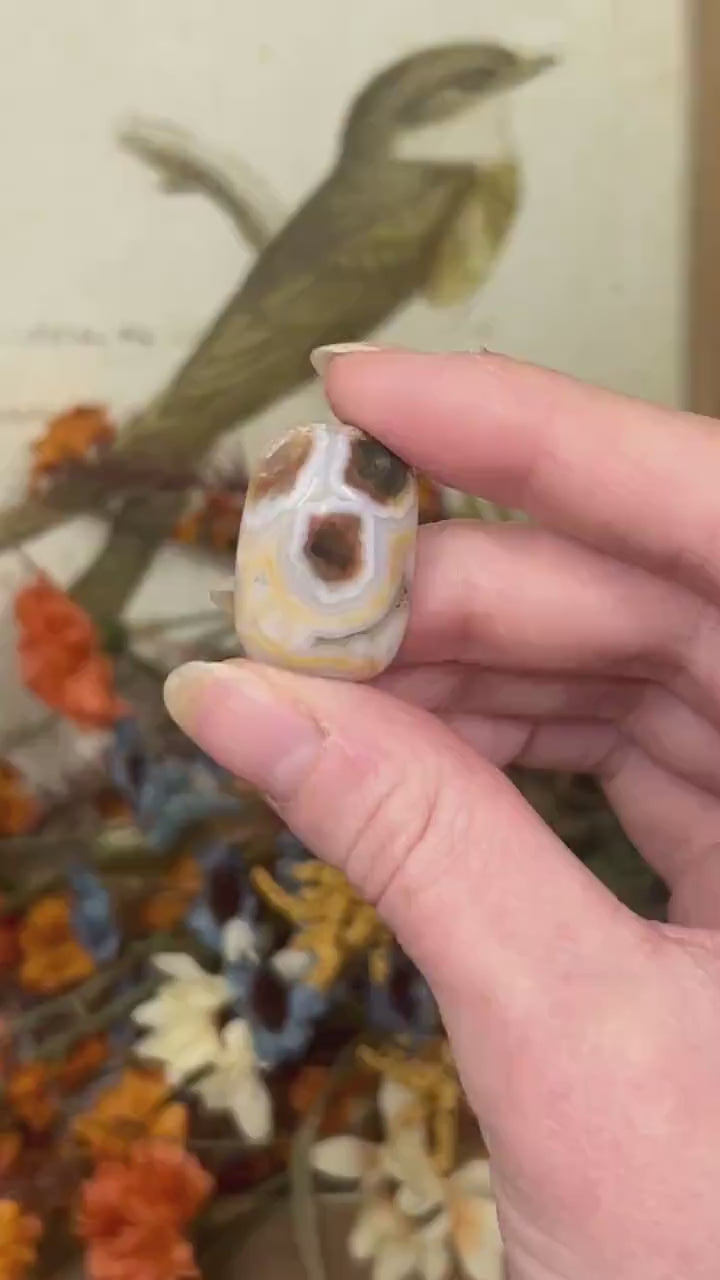 Old Stock Ocean Jasper Cab | Ocean Jasper Cabochon