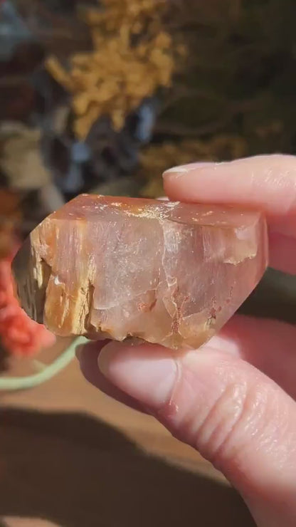 Unique Rutile Quartz Freeform | Rutilated Quartz