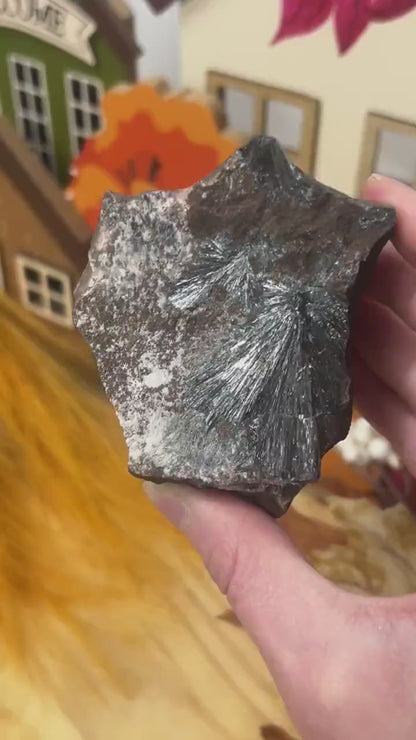 Pyrolusite Specimen | Unique Raw Minerals