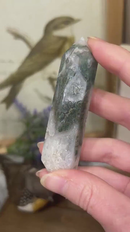 Moss Agate DT | Double Terminated Crystal