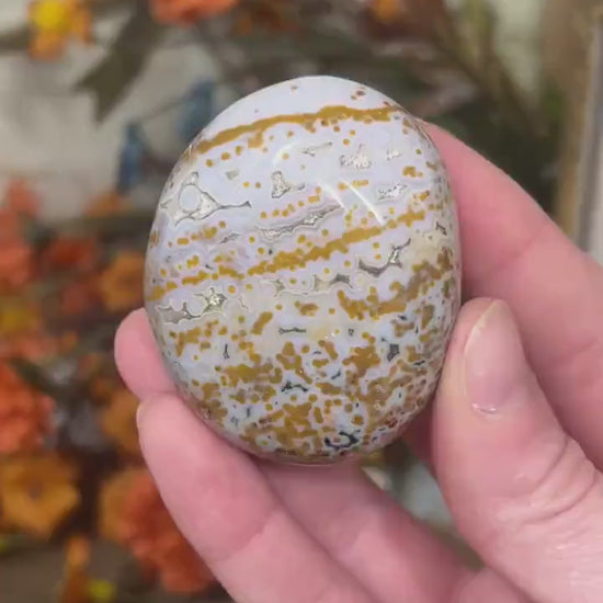 Veinless Ocean Jasper Palm Stone | Marovato OJ