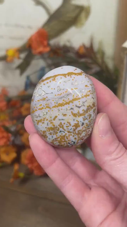 Veinless Ocean Jasper Palm Stone | Marovato OJ