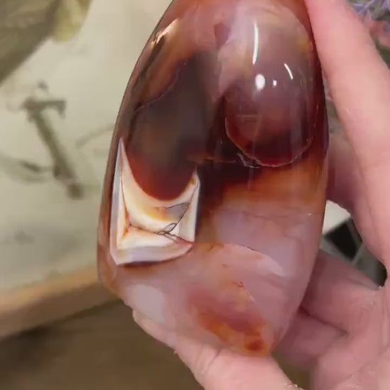 Carnelian Agate Freeform | Carnelian Orca Agate