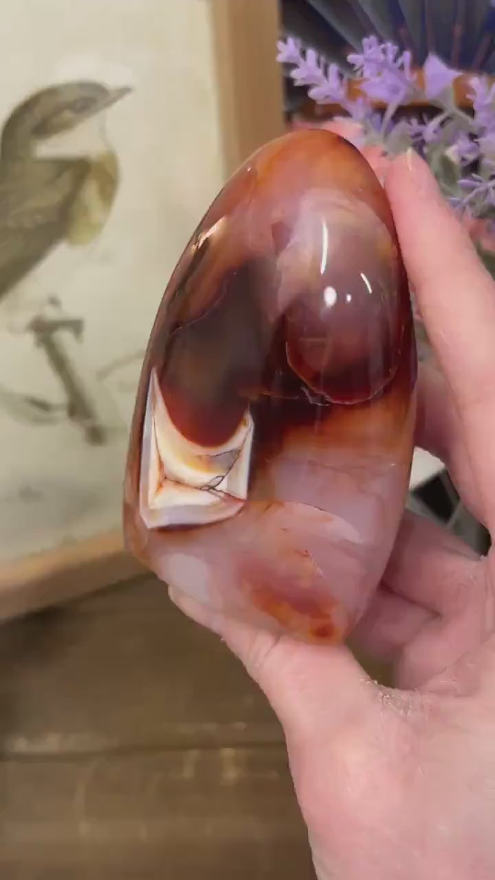 Carnelian Agate Freeform | Carnelian Orca Agate