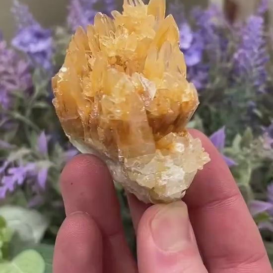 Dogtooth Calcite Specimen | Orange Dogtooth Calcite