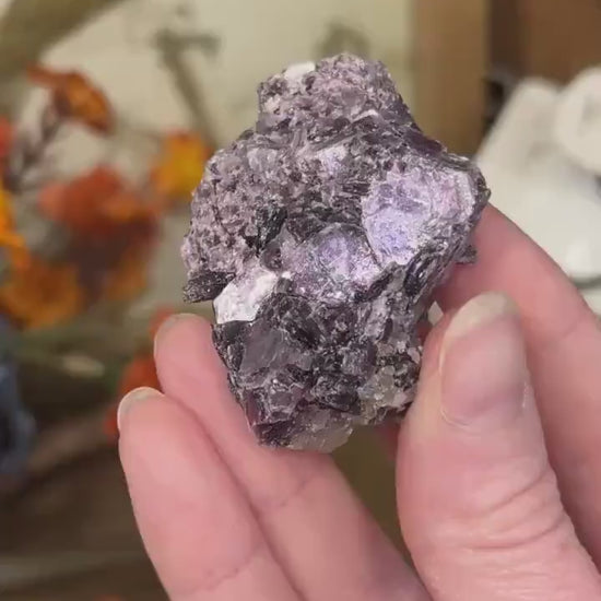 Raw Purple Mica Cluster | Raw Lepidolite | Gem Lepidolite | Purple Mica on Quartz