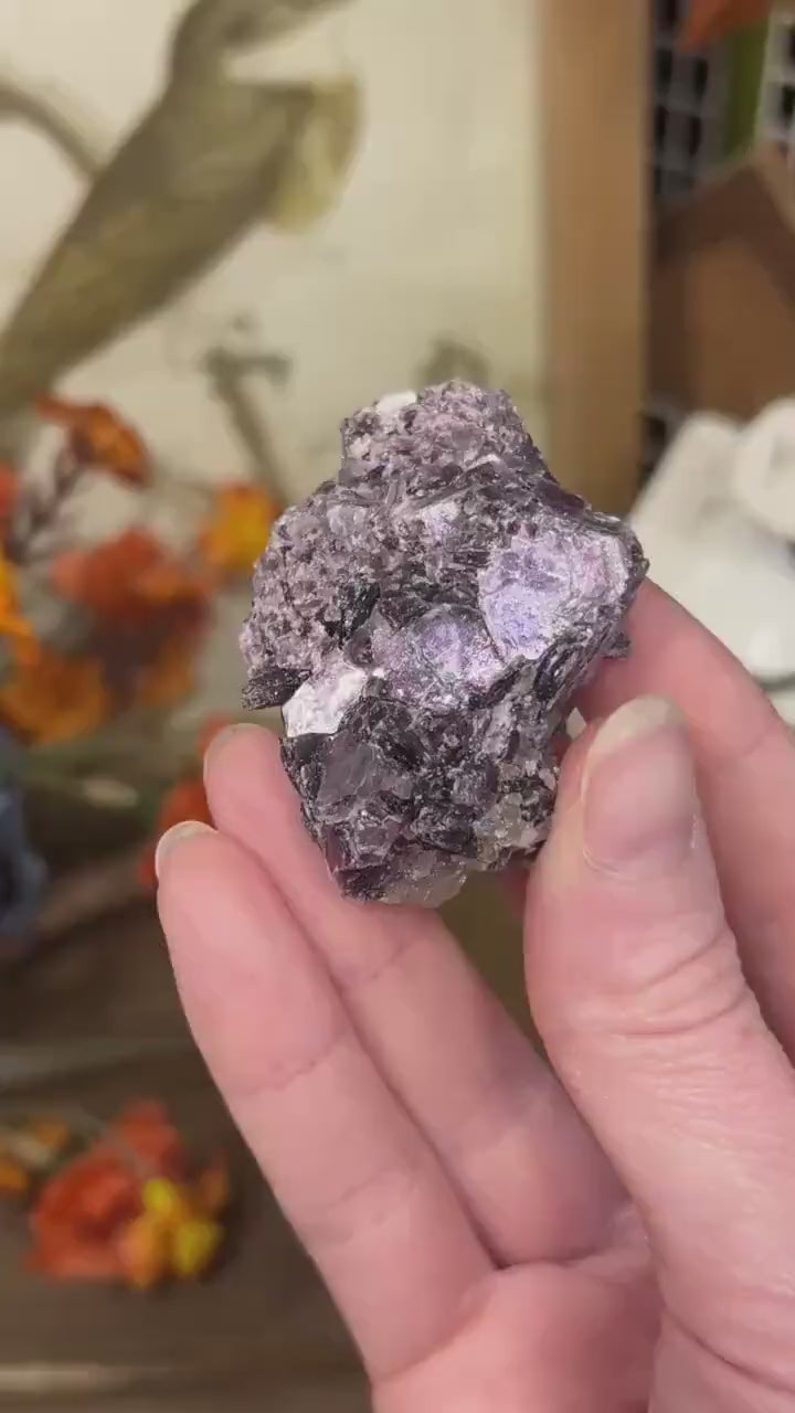 Raw Purple Mica Cluster | Raw Lepidolite | Gem Lepidolite | Purple Mica on Quartz