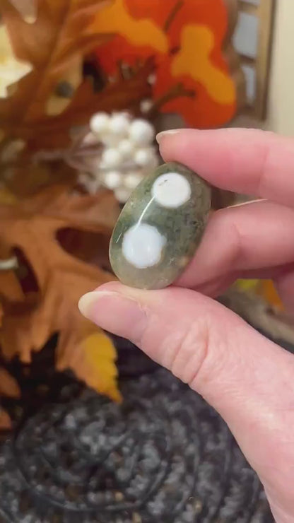 Ocean Jasper Cab | Ocean Jasper Cabochon