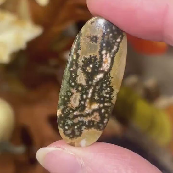 Seventh Vein Ocean Jasper Cab | Ocean Jasper Cabochon | 7th Vein