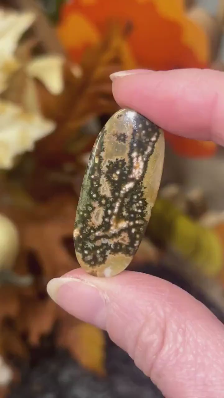 Seventh Vein Ocean Jasper Cab | Ocean Jasper Cabochon | 7th Vein