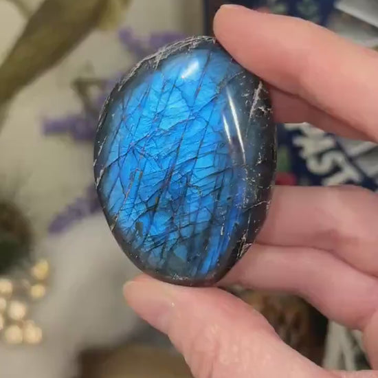 Electric Blue Labradorite Palm | High Quality Lab Palm Stone