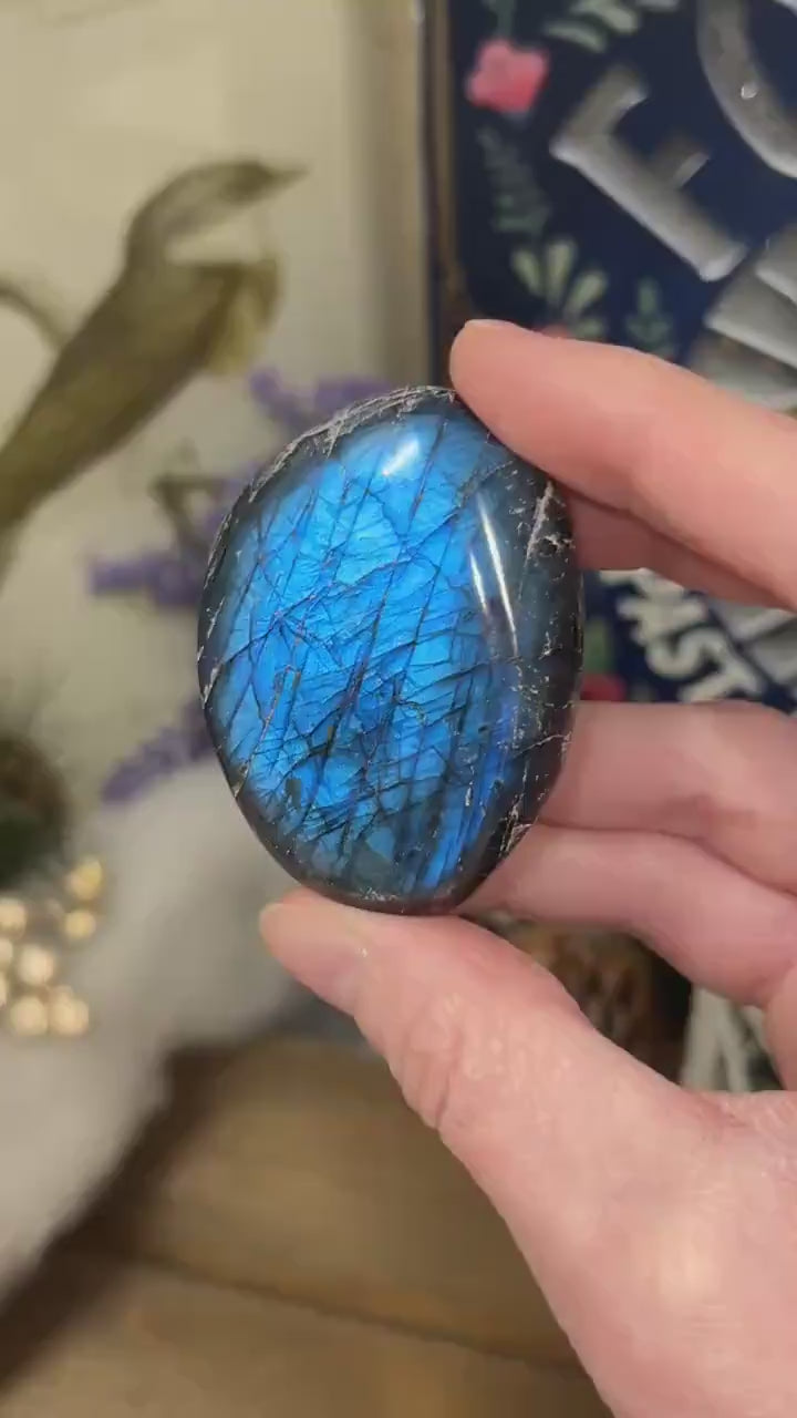 Electric Blue Labradorite Palm | High Quality Lab Palm Stone