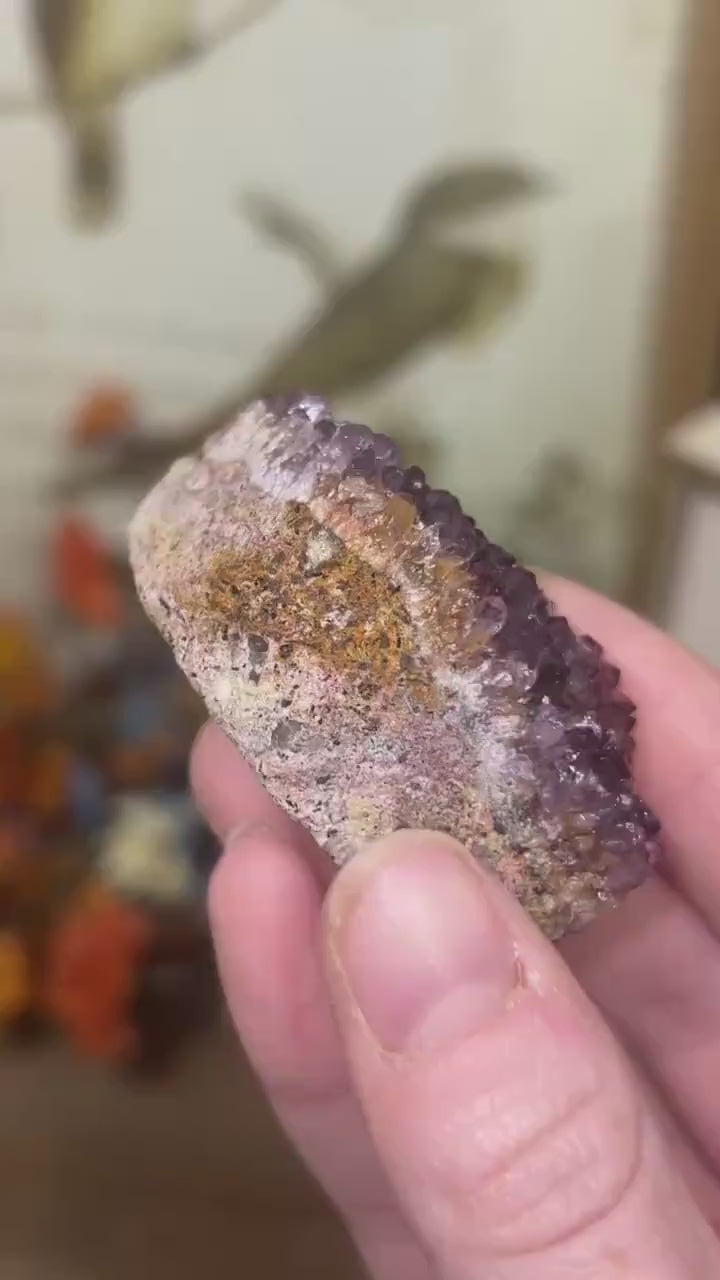 High Quality Alacam Amethyst Cluster from Turkey