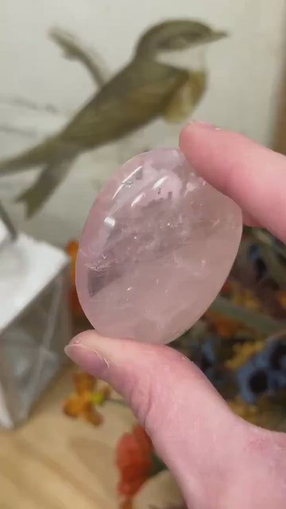 Small Gemmy Rose Quartz Palm | High Quality Rose Quartz