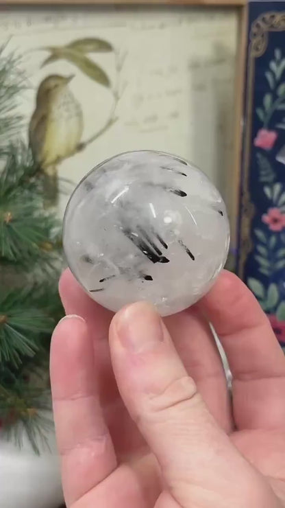 High Quality Black Tourmaline in Quartz Sphere | Included Quartz