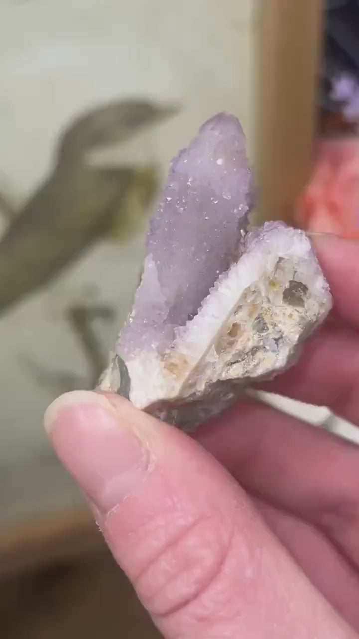 High Quality Spirit Quartz | Spirit Amethyst | Cactus Quartz