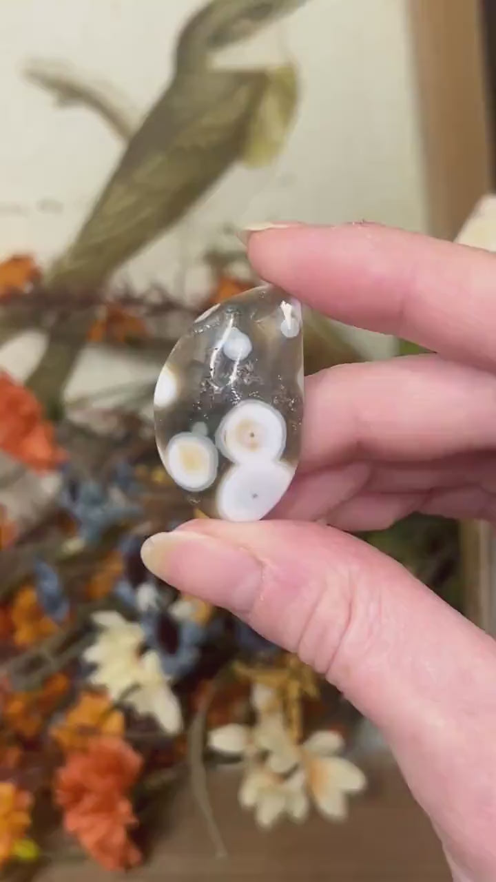 Ocean Jasper Cab | Ocean Jasper Cabochon