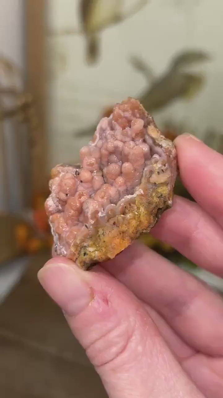 Raw Pink Chalcedony Specimen from Morocco