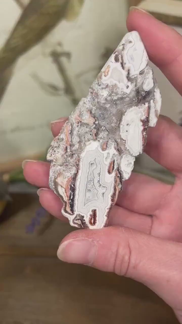 Mexican Lace Agate Slab