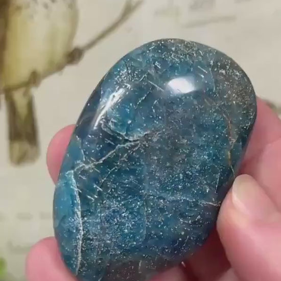 Blue Apatite Palm Stone | Flashy Blue Apatite