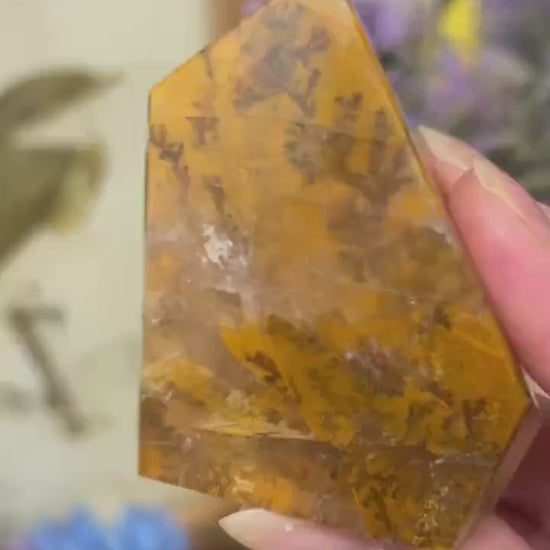 High Quality Dendritic Golden Healer Quartz Freeform | Dendritic Quartz | Hematoid Quartz | Dendrites | Yellow Hematoid Quartz