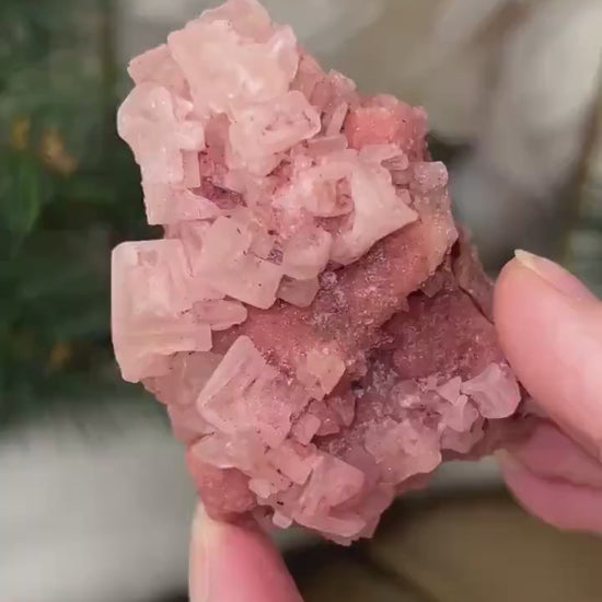 Pink Halite Specimen from Searles Lake, California