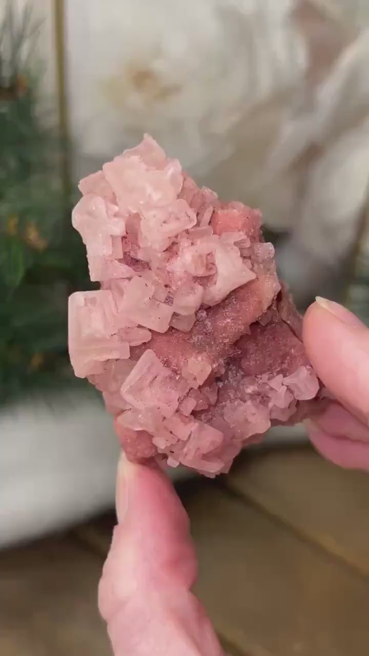 Pink Halite Specimen from Searles Lake, California