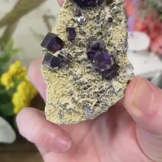 Cubic Fluorite Specimen on Matrix | Dark Purple Fluorite