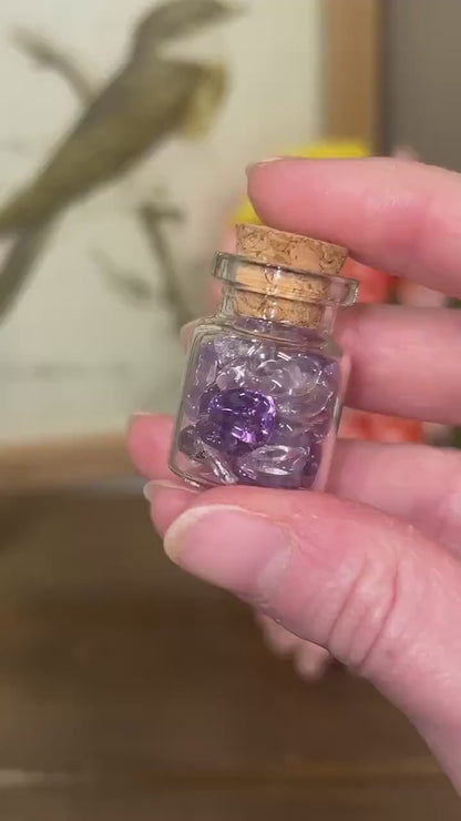 High Quality Amethyst Chips in Glass Bottle | Brazilian Amethyst