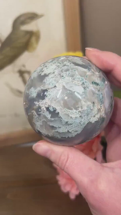 Unique Moss Agate Sphere | Druzy Moss Agate