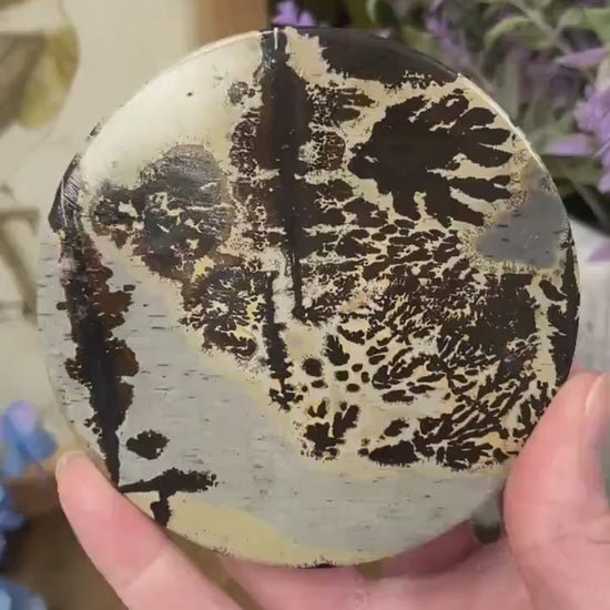 Picture Jasper Slab | Dendritic Jasper