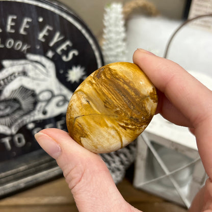 Petrified Wood Palm Stone | Madagascan Petrified Wood | Unique Crystals | Pocket Crystals