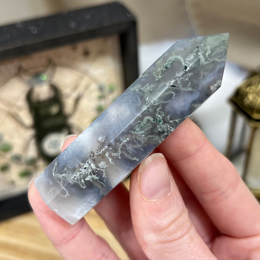 High Quality Moss Agate with Dendrites | Druzy Moss Agate